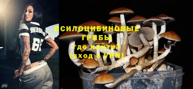 что такое наркотик  Беслан  Псилоцибиновые грибы Magic Shrooms 