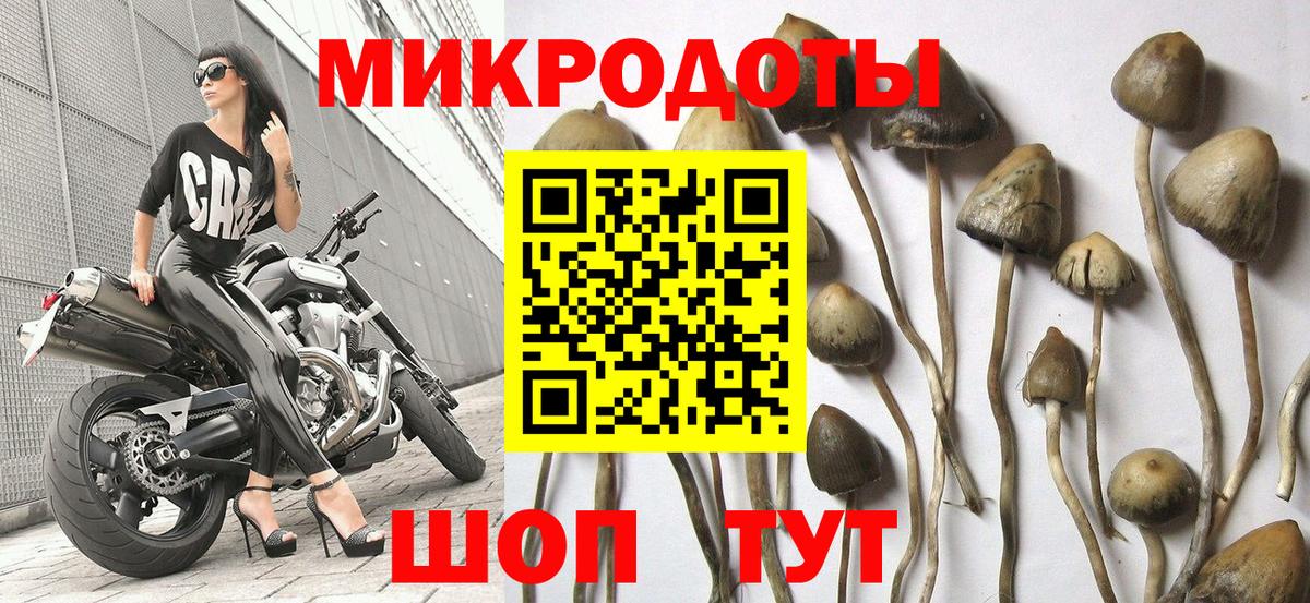 Беслан  Галлюциногенные грибы MAGIC MUSHROOMS  Вход с VPN 