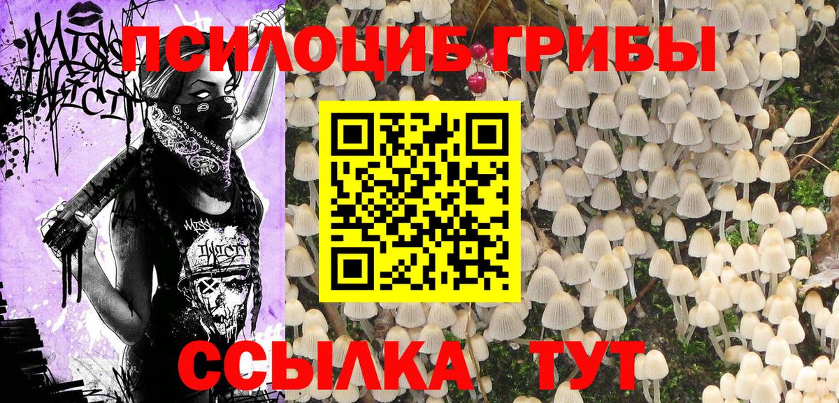 Галлюциногенные грибы Magic Shrooms Беслан