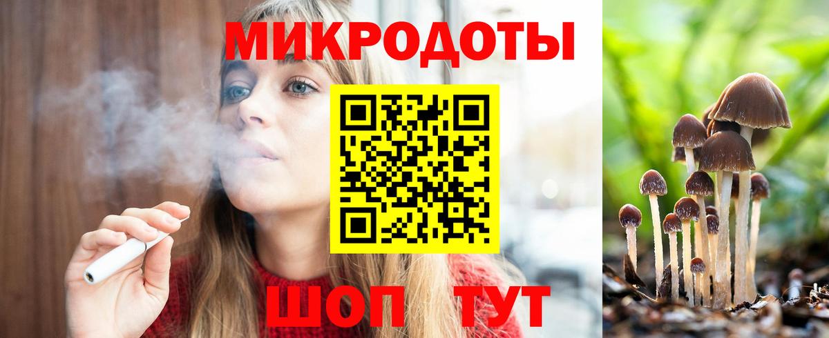 Галлюциногенные грибы Psilocybine cubensis  Беслан 